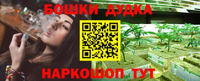 гашик Кулебаки