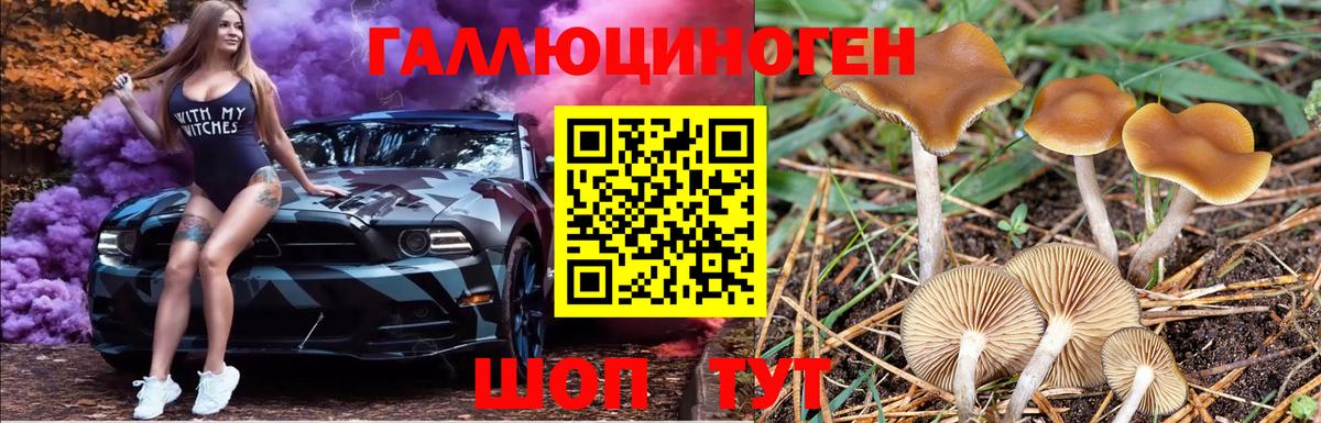 Галлюциногенные грибы Psilocybine cubensis Грязи